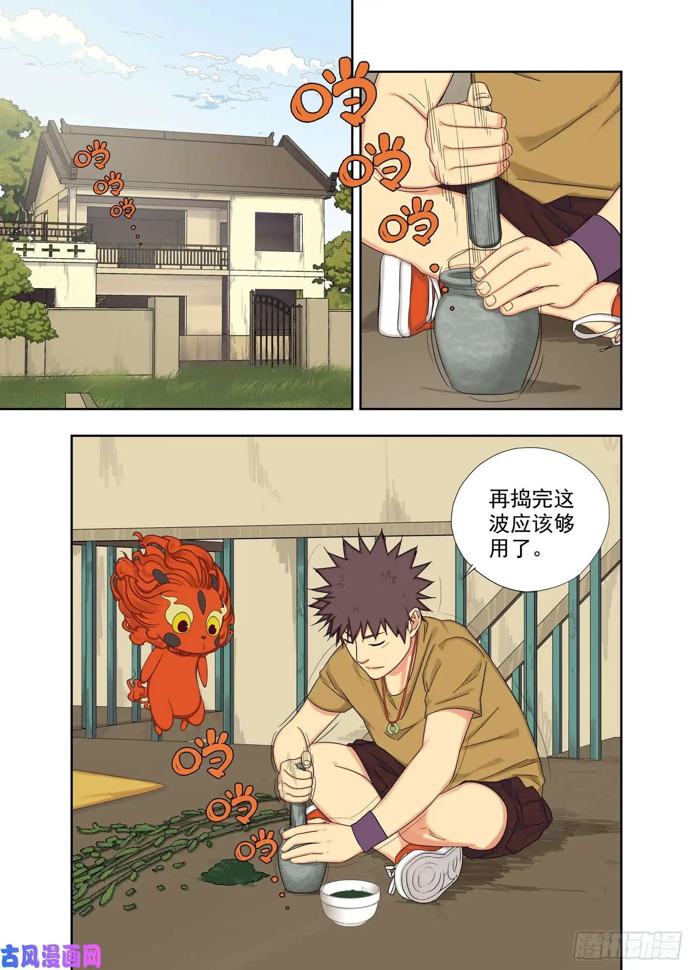 重瞳子柳叶汁
