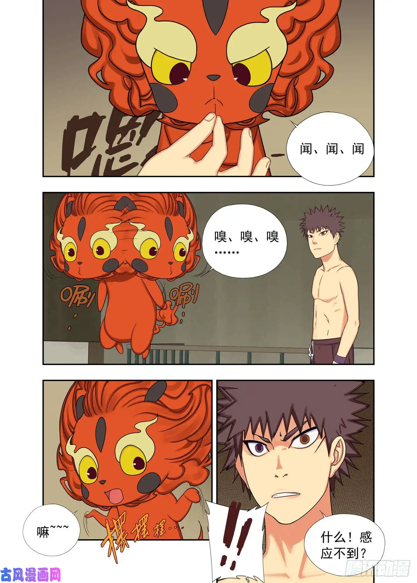 重瞳子小海绵
