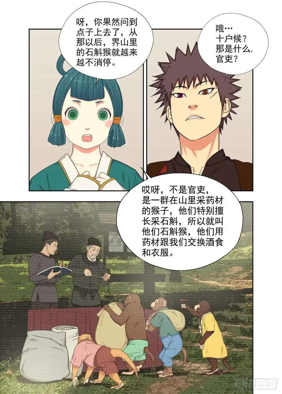 重瞳子石斛猴