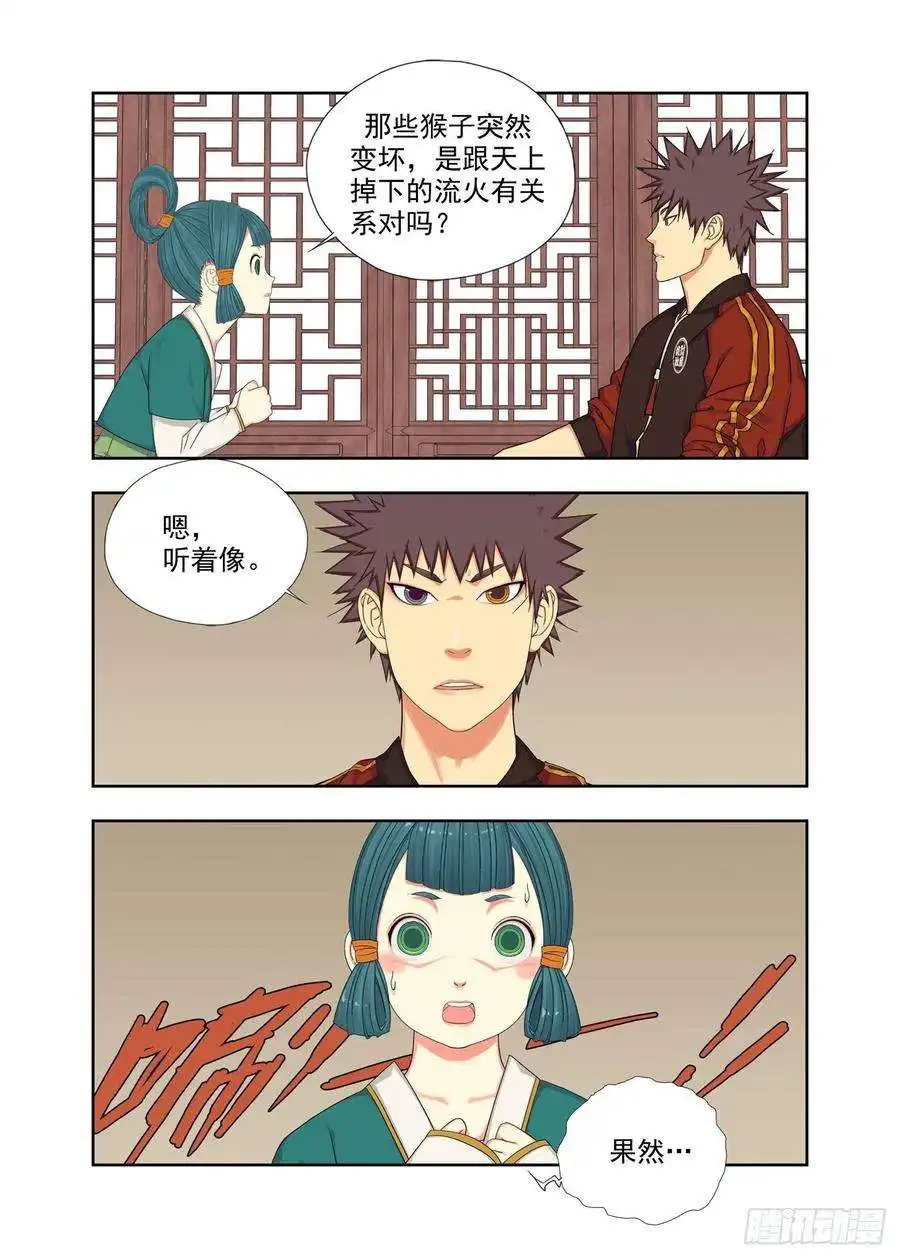 重瞳子石斛猴