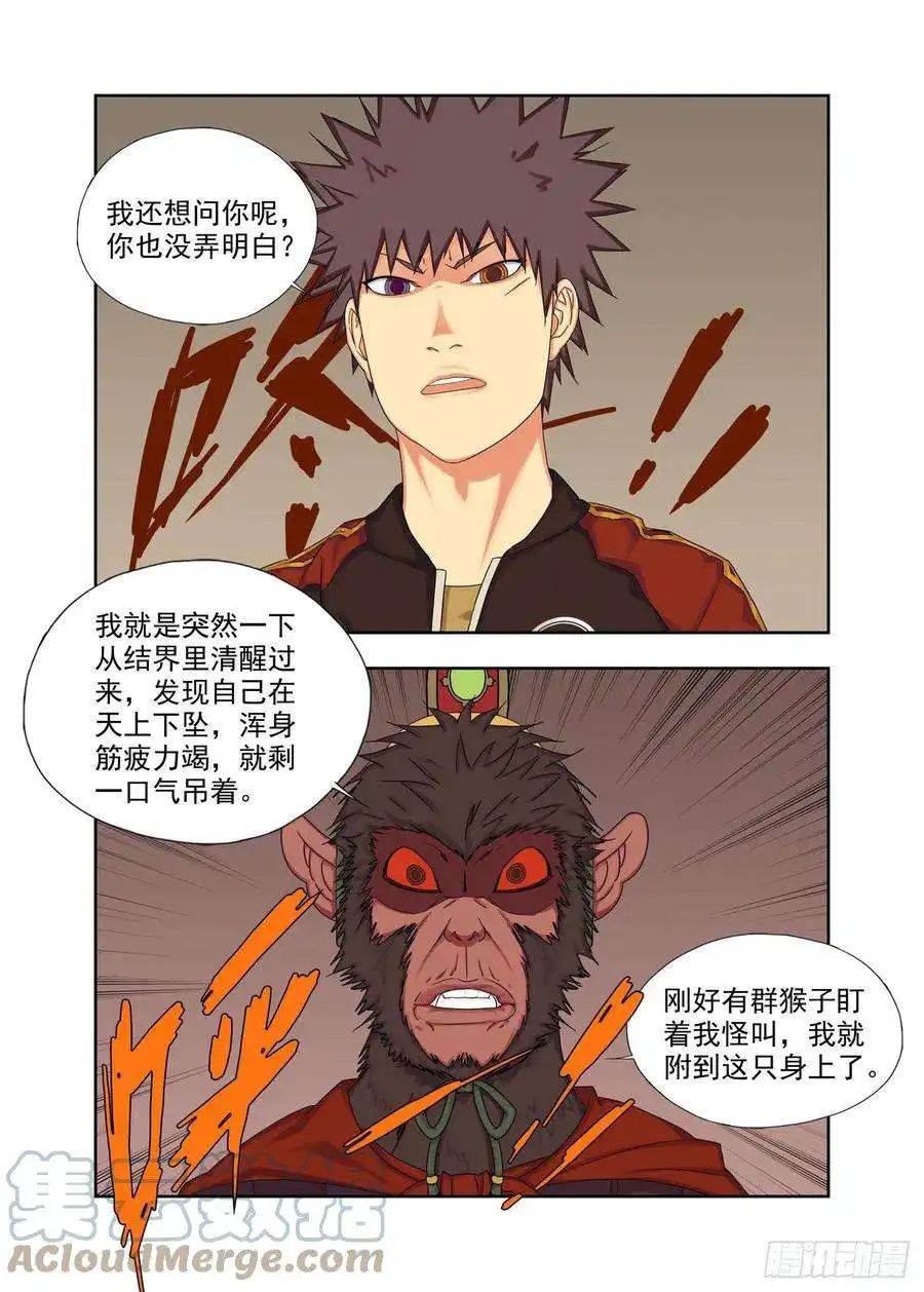 重瞳子干鸟