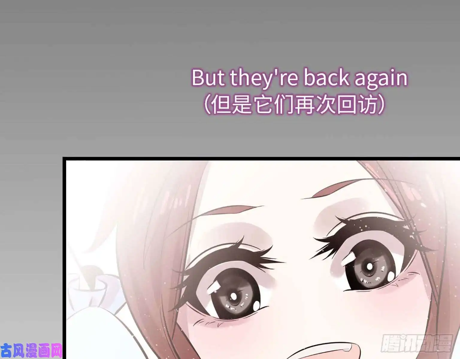 我在末世搬金砖05