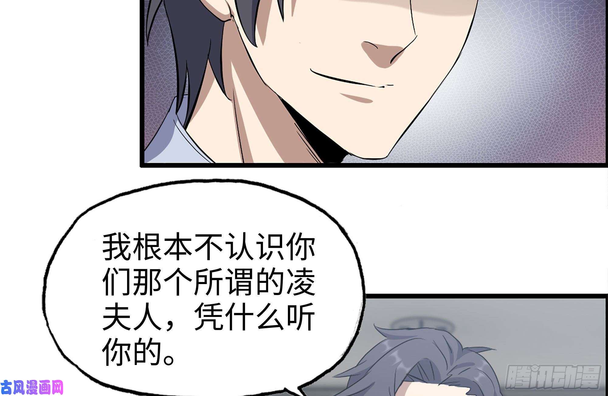 我在末世搬金砖237-凌夫人