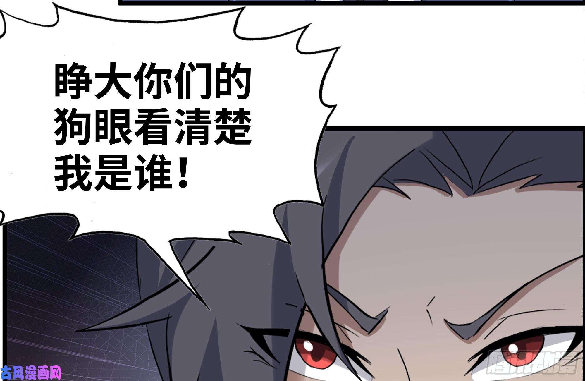 我在末世搬金砖237-凌夫人
