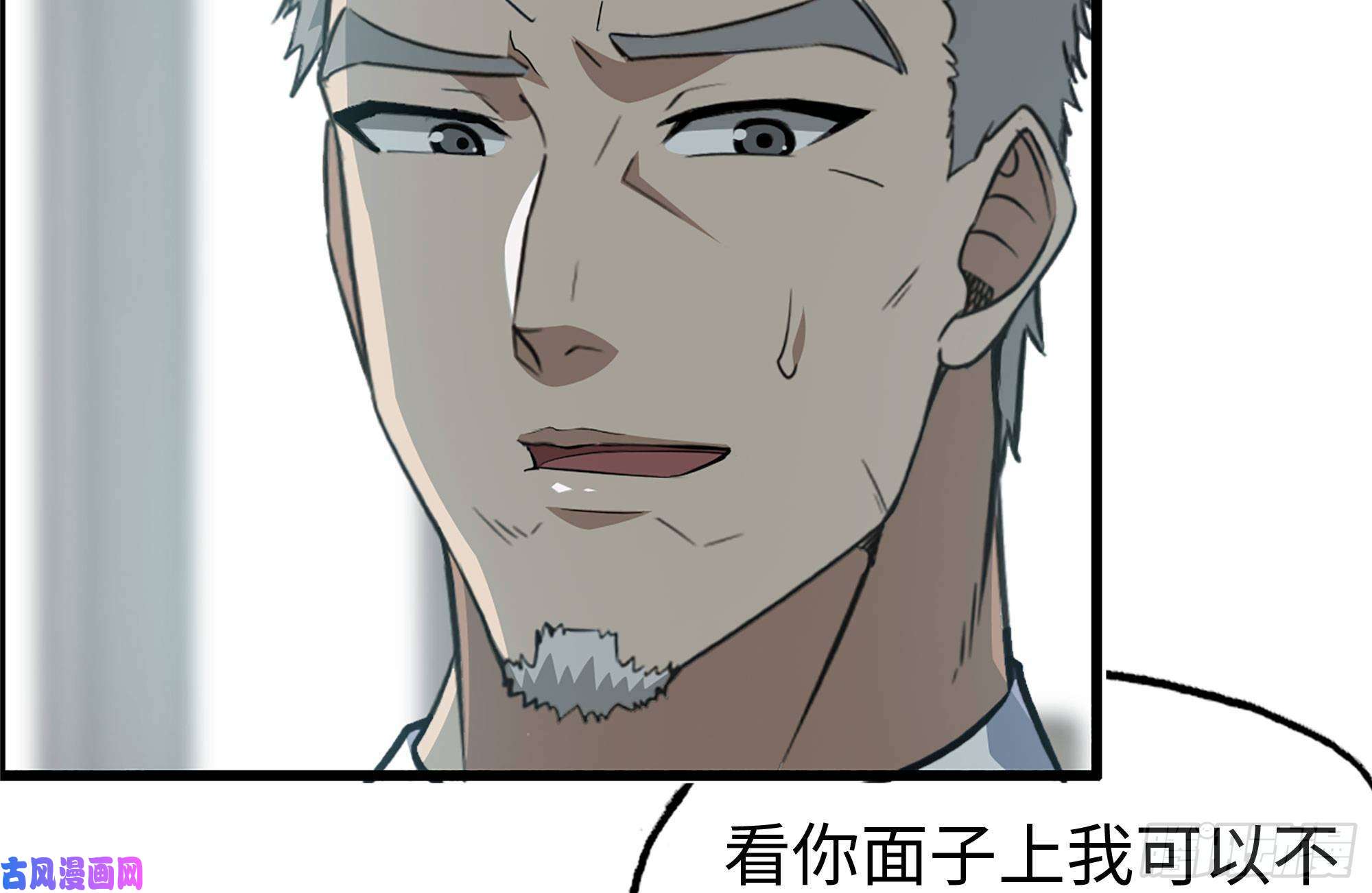 我在末世搬金砖237-凌夫人