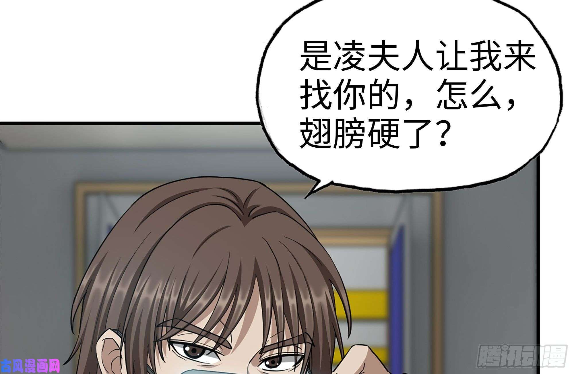 我在末世搬金砖237-凌夫人