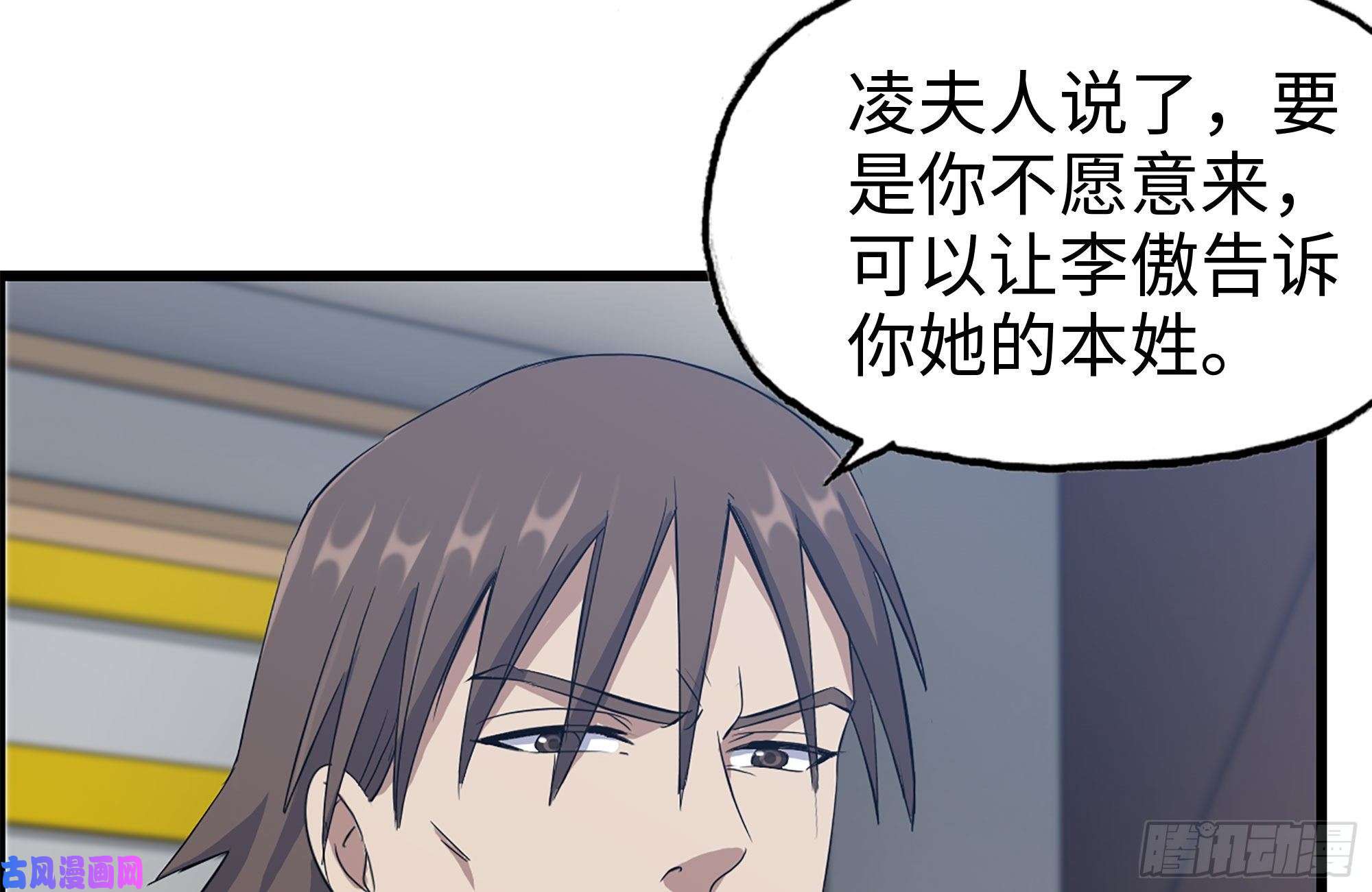 我在末世搬金砖237-凌夫人