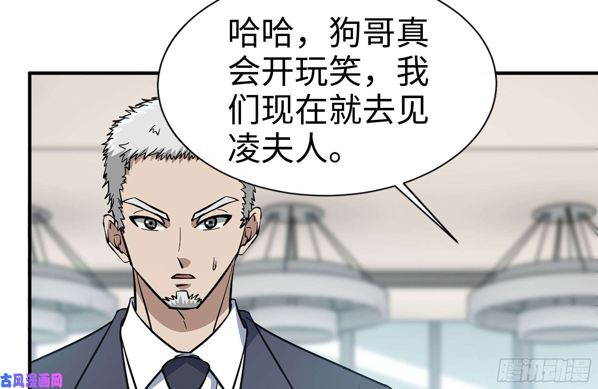 我在末世搬金砖237-凌夫人