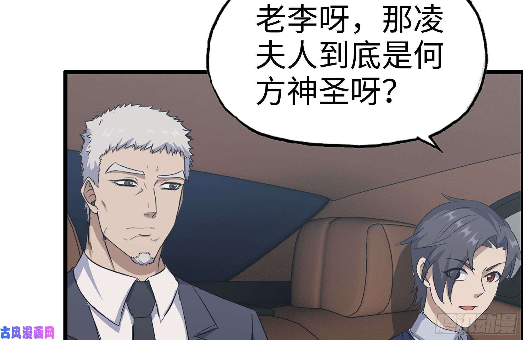 我在末世搬金砖237-凌夫人