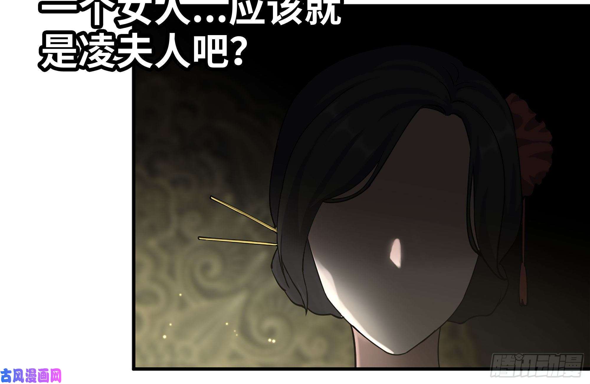 我在末世搬金砖238-凌夫人的真面目