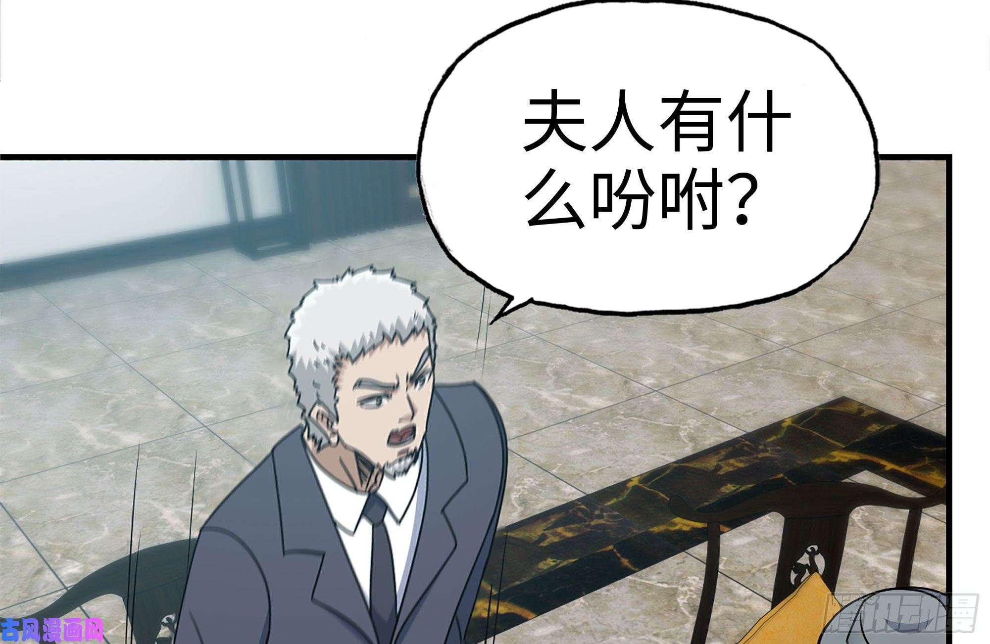 我在末世搬金砖238-凌夫人的真面目