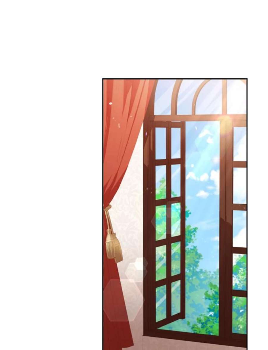 皇帝的秘书官36.贵族会议