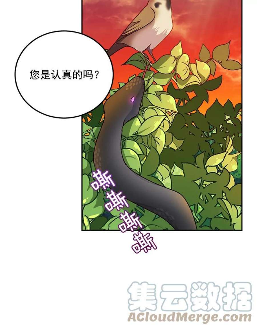 伯爵孤女的重生7.决定参与游戏