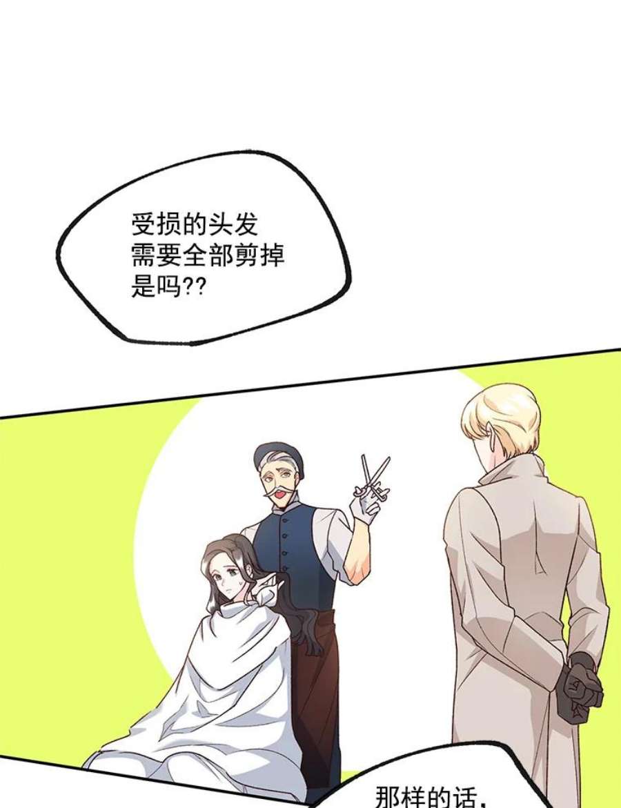 伯爵孤女的重生9.万全的准备