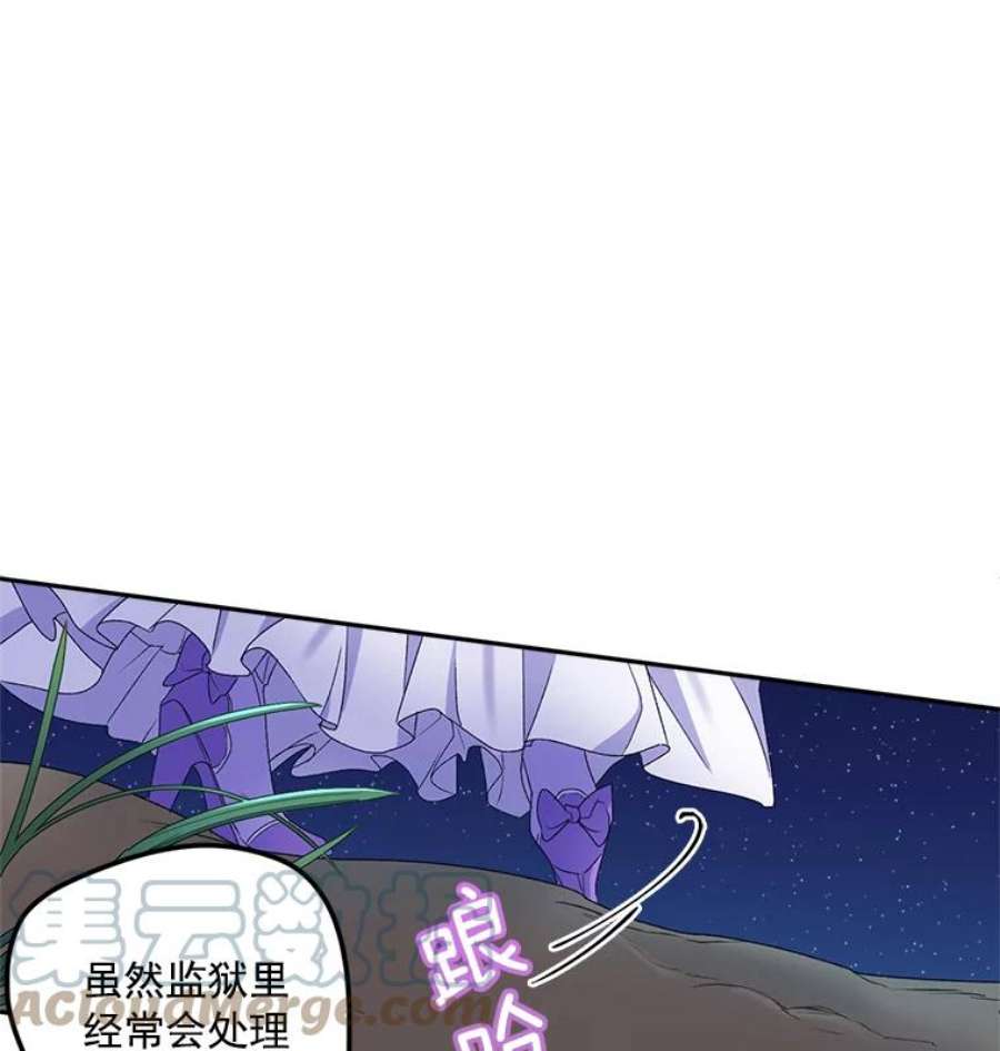 伯爵孤女的重生11.暗夜女神