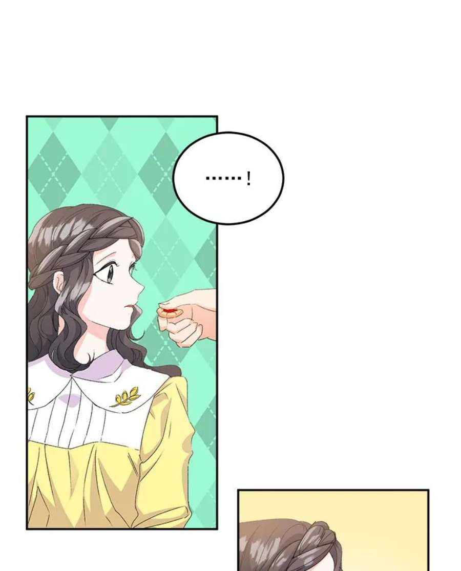 伯爵孤女的重生19.艾宝妮的新计划