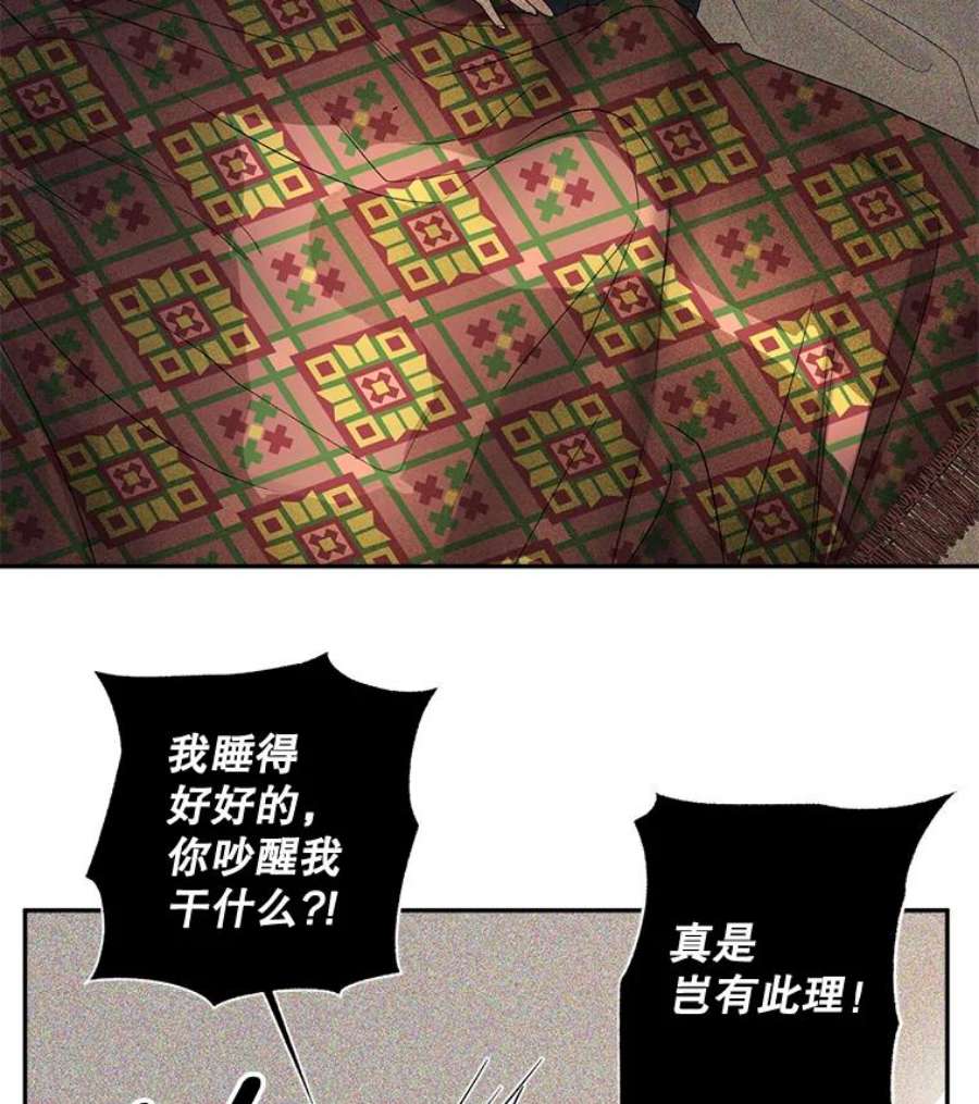 伯爵孤女的重生87.往事