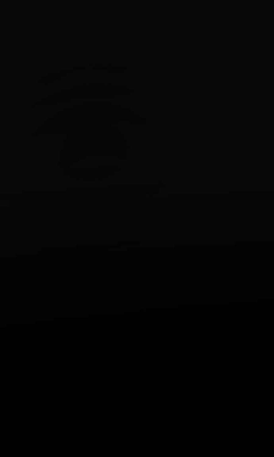 金部长2话 人体兵器