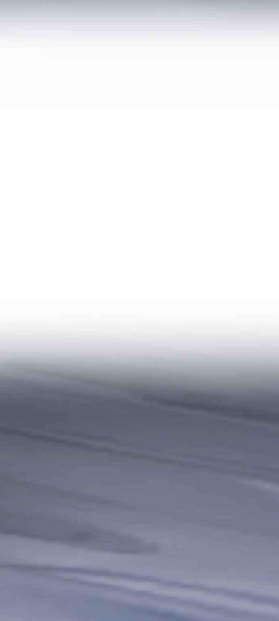 金部长17话 是来访视的吗？