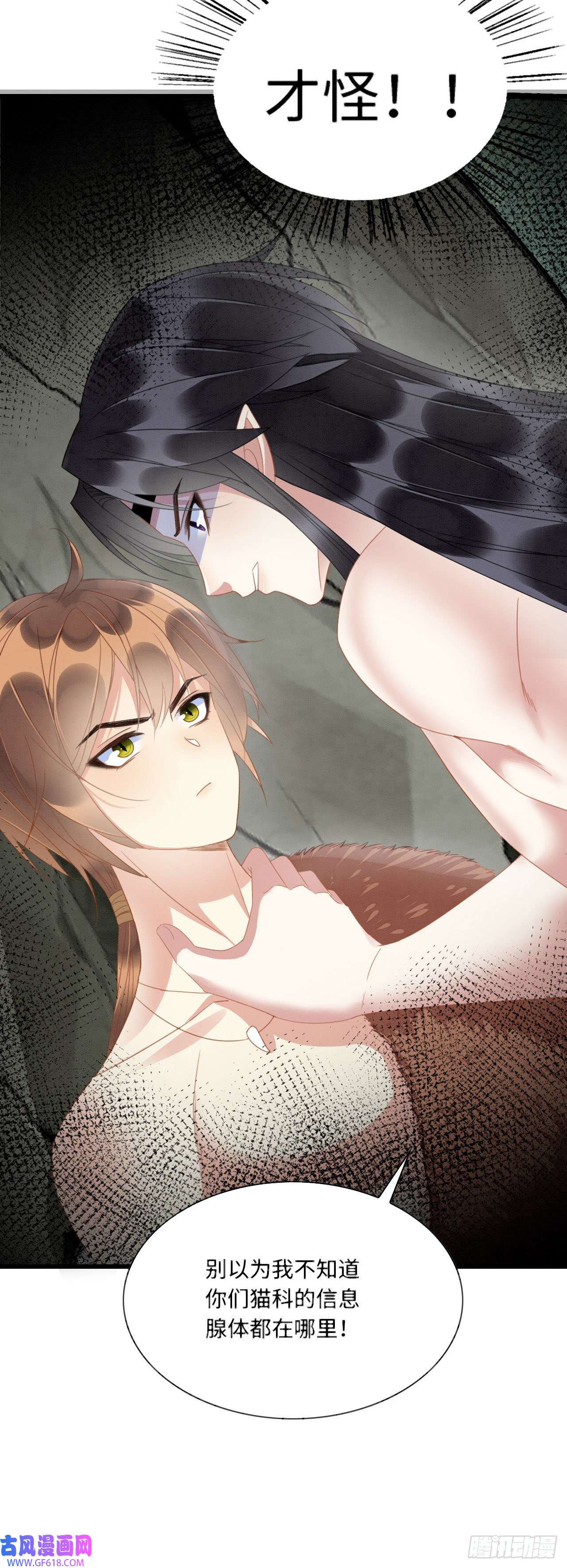 救命！穿越兽世蛇夫超宠我！10 争风吃醋