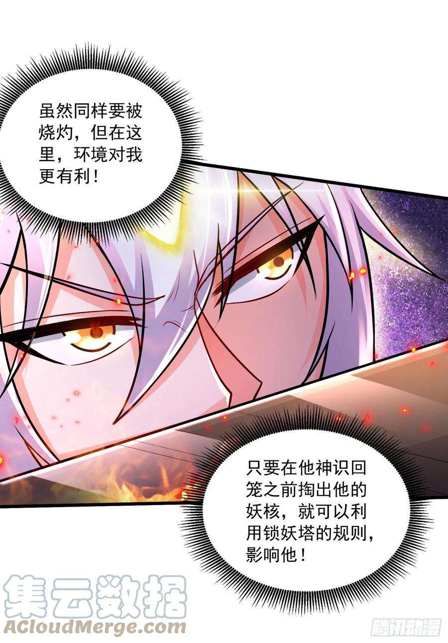万古赘婿231话 幽冥凤凰火