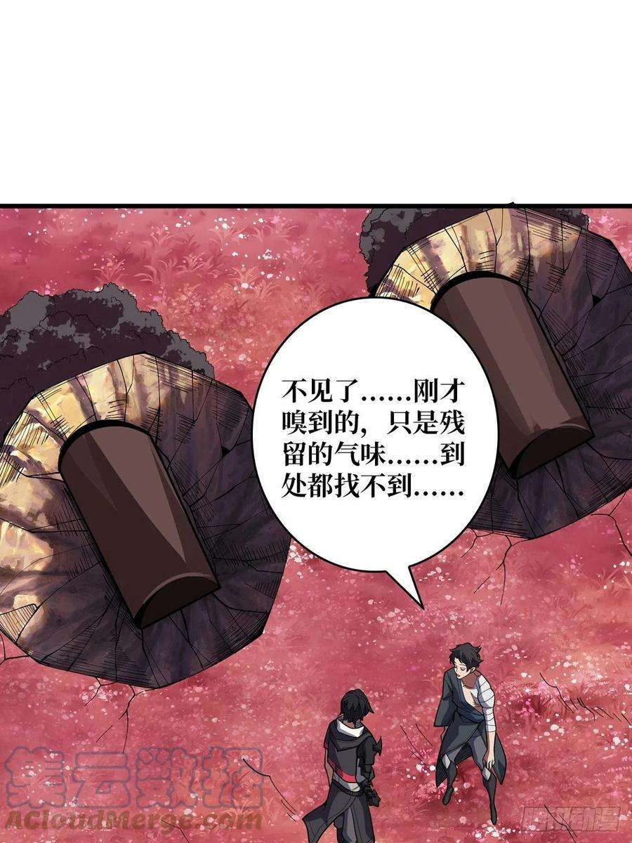 我真不是反派大佬15话 骗鬼的人