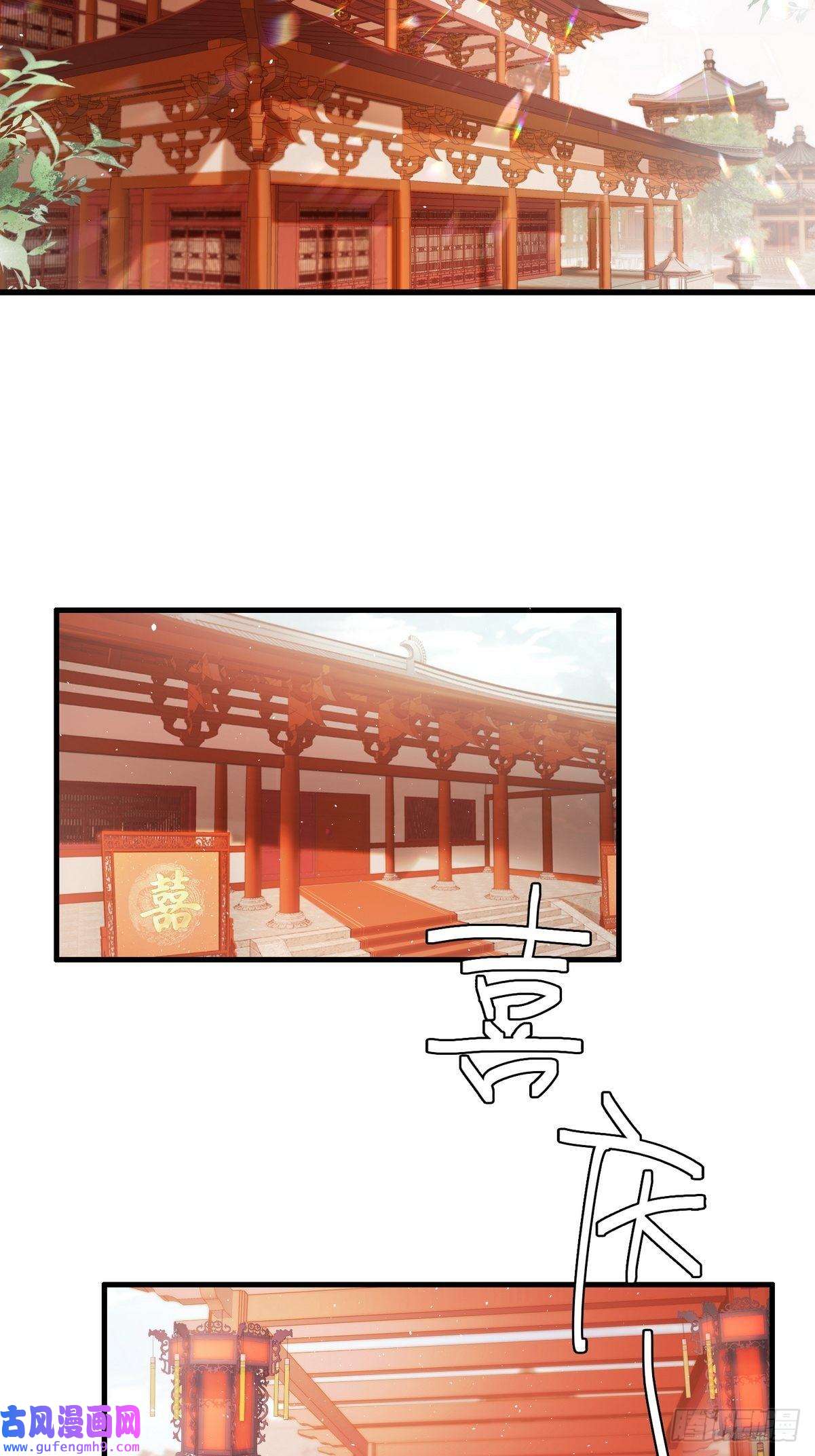 国医狂妃第1话 “傻子”王妃