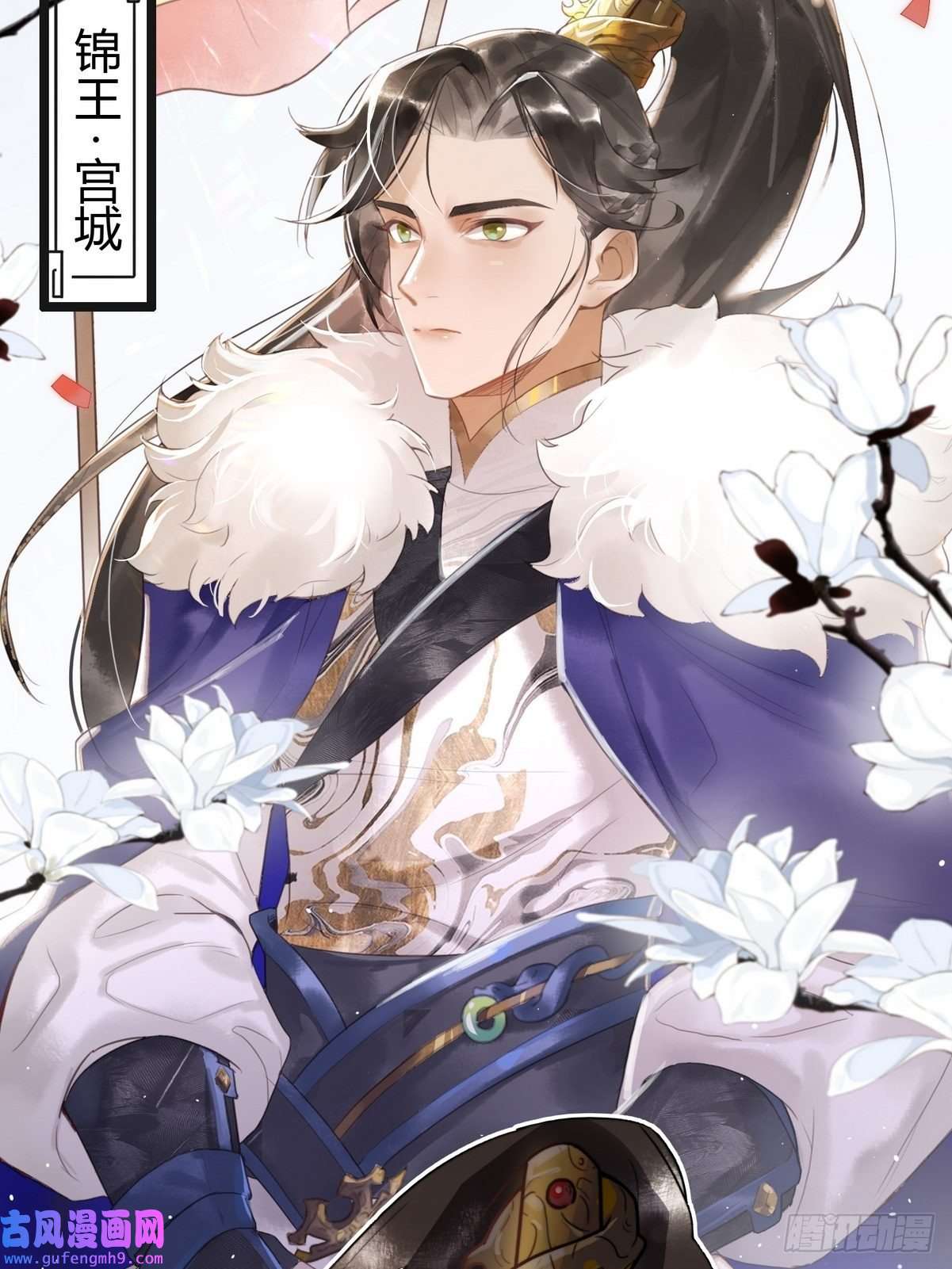 国医狂妃第1话 “傻子”王妃