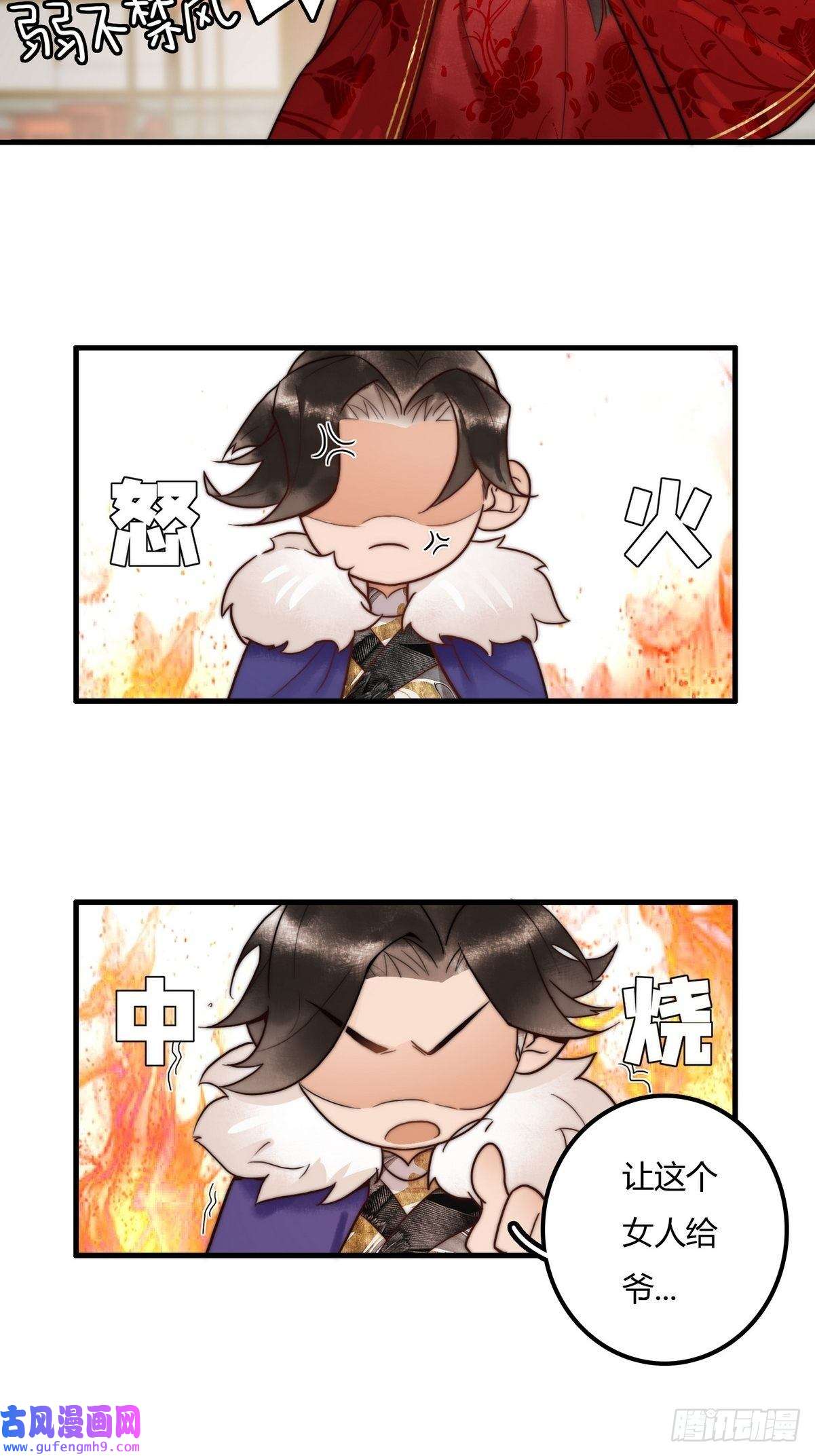 国医狂妃第1话 “傻子”王妃