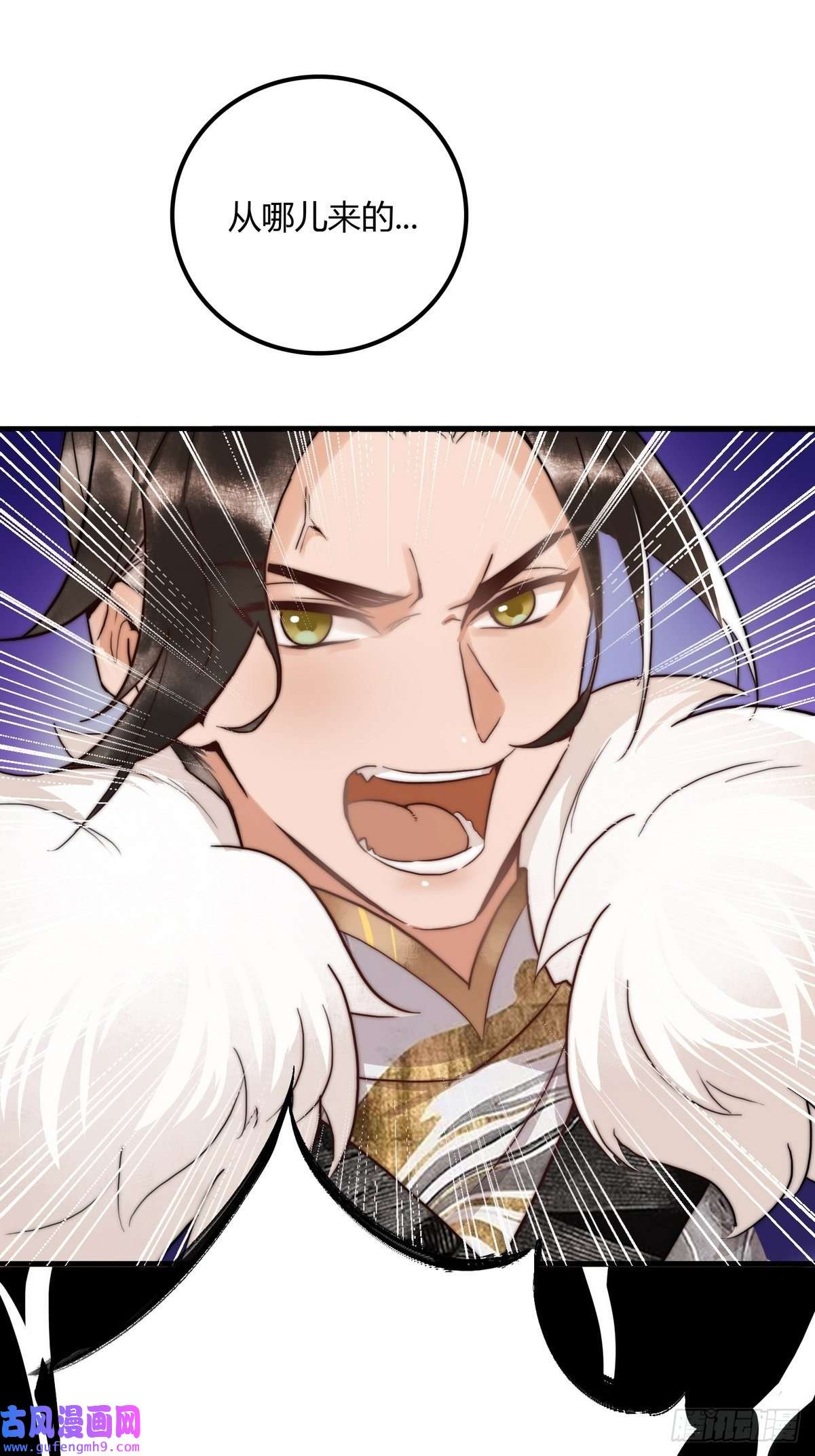 国医狂妃第1话 “傻子”王妃