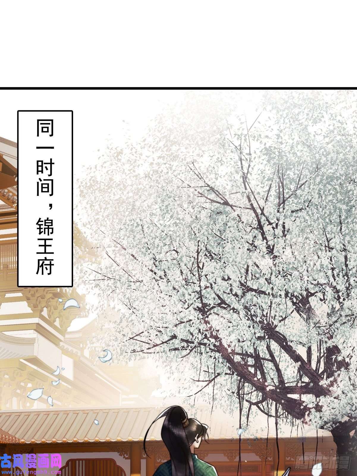 国医狂妃第3话 绿帽战神