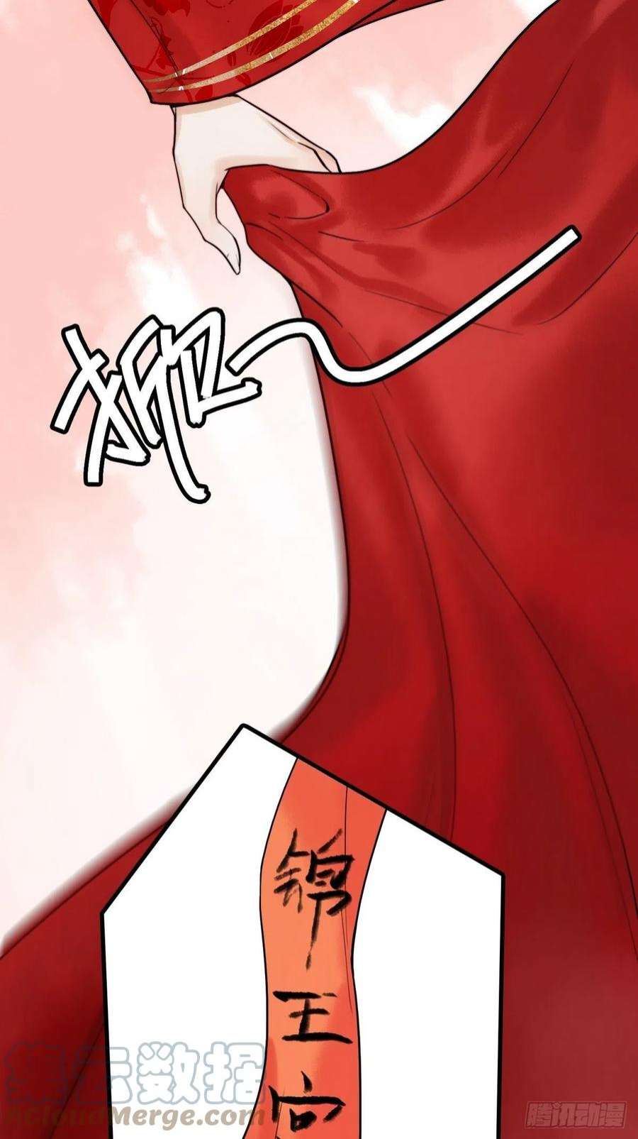 国医狂妃1话 “傻子”王妃