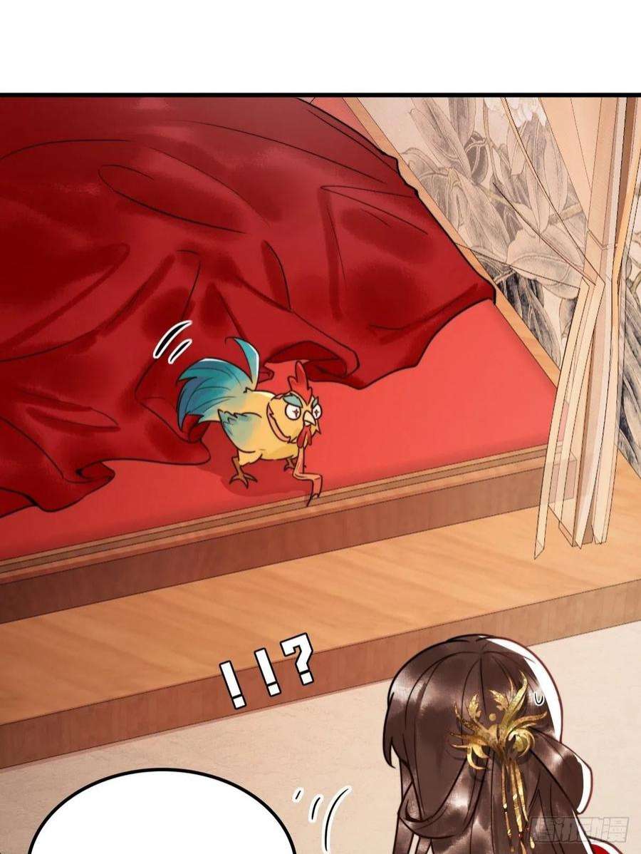 国医狂妃1话 “傻子”王妃