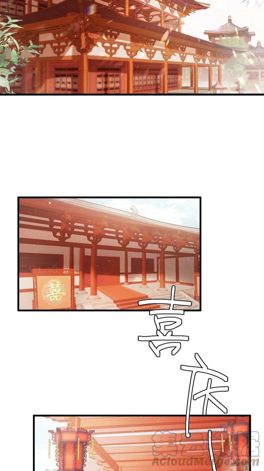 国医狂妃1话 “傻子”王妃