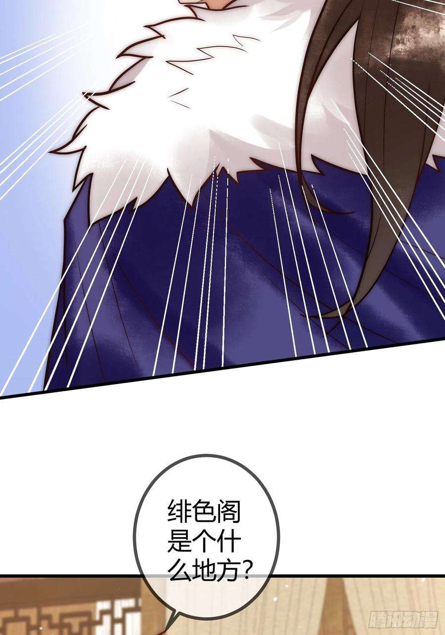 国医狂妃18话 绯色阁