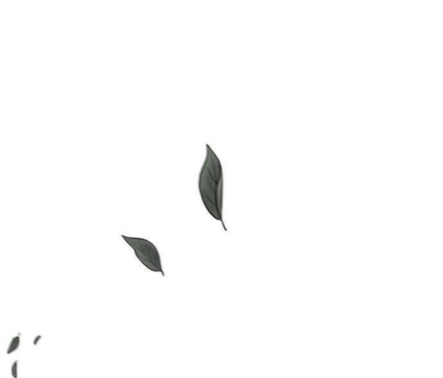 大公爵，我不是故意的！9话