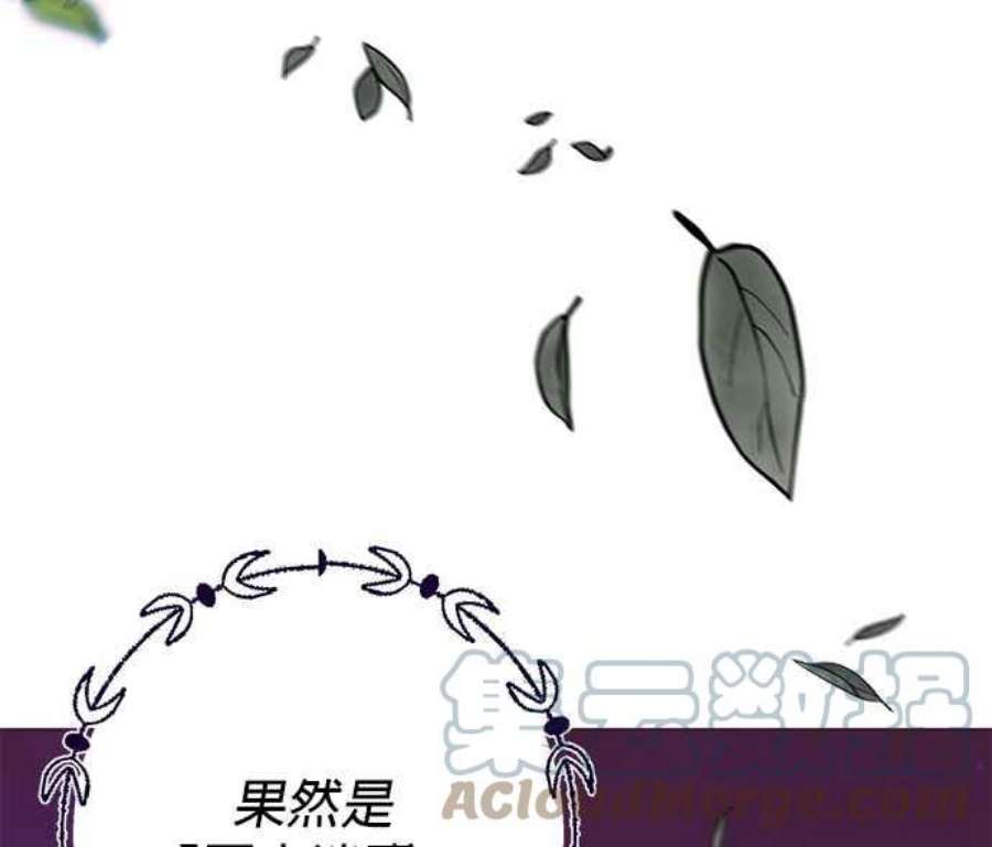 大公爵，我不是故意的！9话