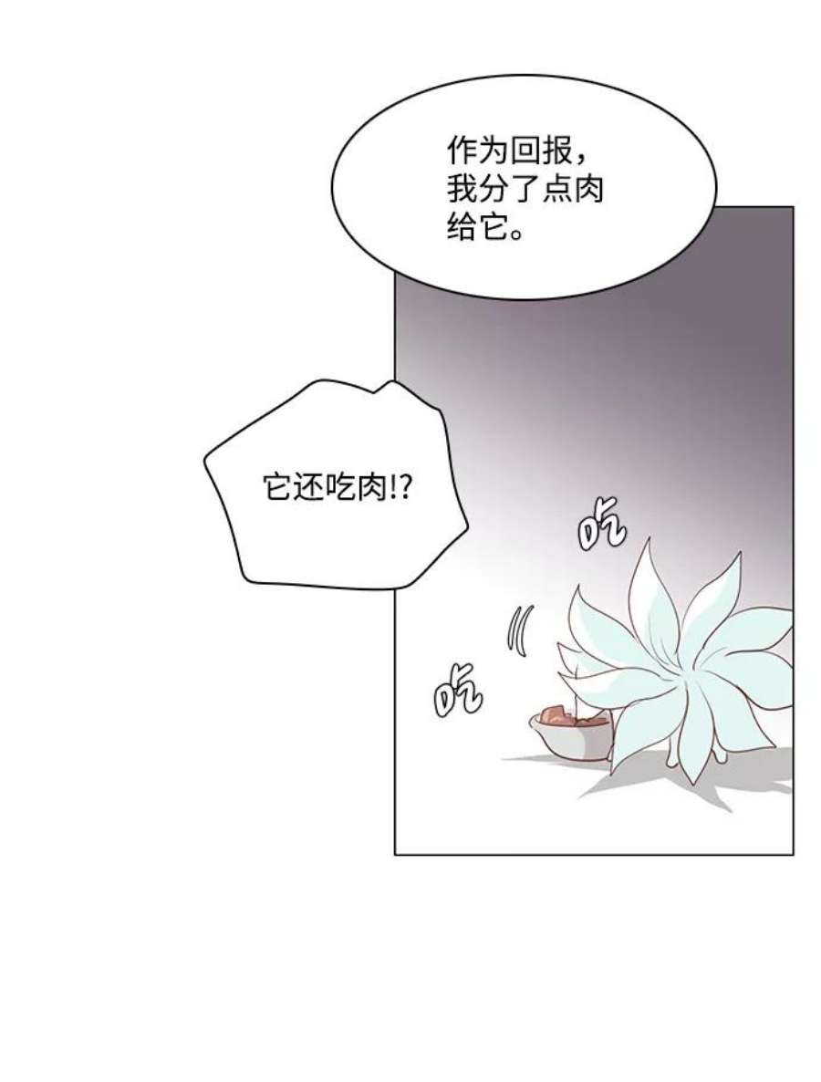 红娘小公主54话