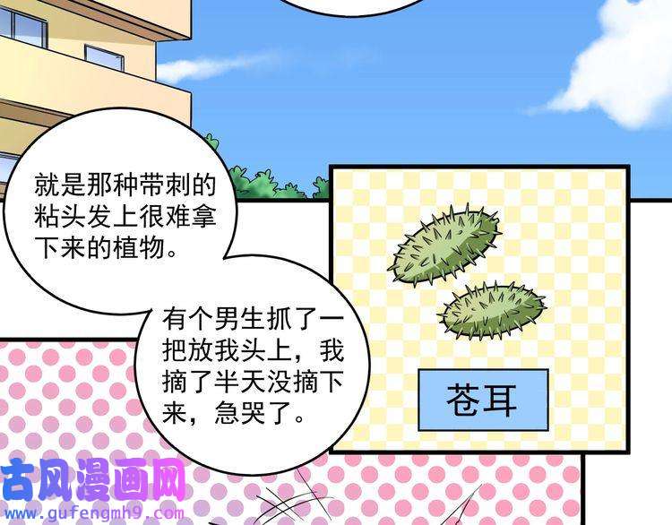 我的成就有点多第17话 奇怪的缘分