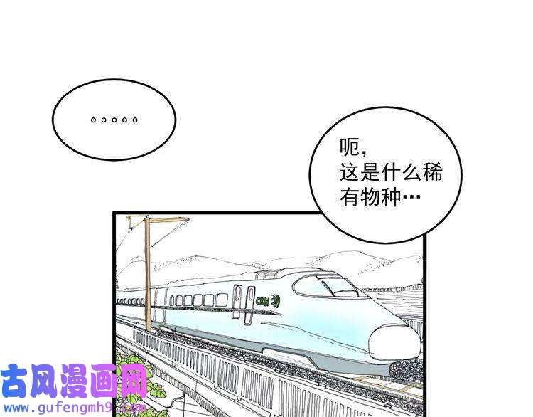 我的成就有点多第17话 奇怪的缘分