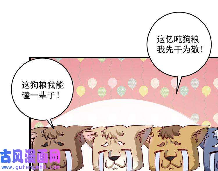 我的成就有点多第145话 我是冠军！