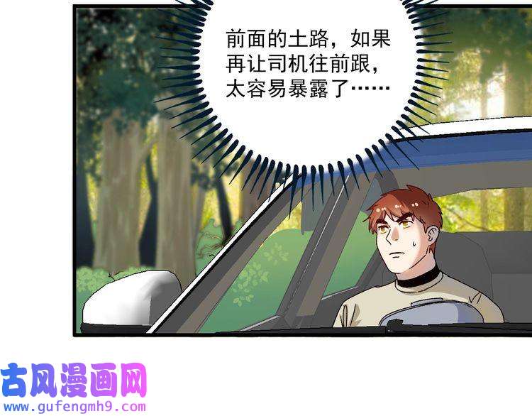 我的成就有点多第148话 追击绑匪