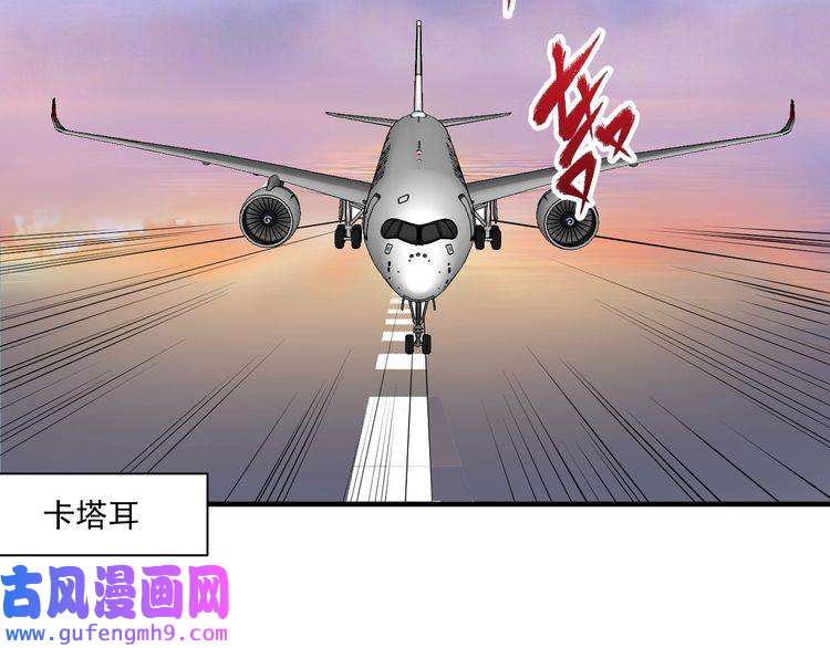 我的成就有点多第165话 猛虎来袭！