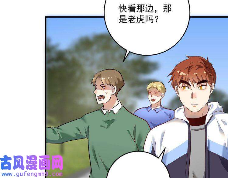 我的成就有点多第165话 猛虎来袭！