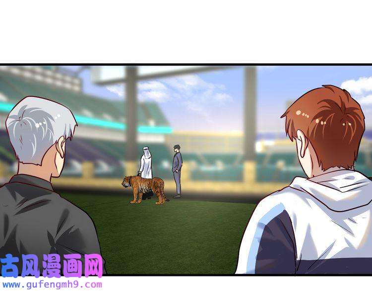 我的成就有点多第165话 猛虎来袭！