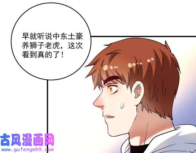 我的成就有点多第165话 猛虎来袭！