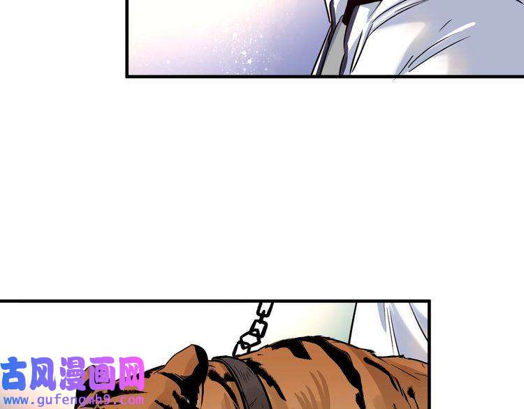 我的成就有点多第165话 猛虎来袭！