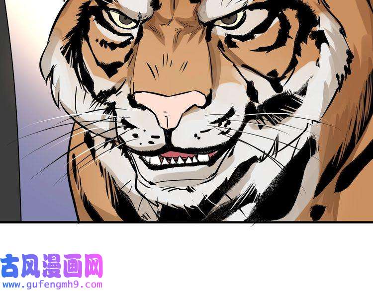 我的成就有点多第165话 猛虎来袭！