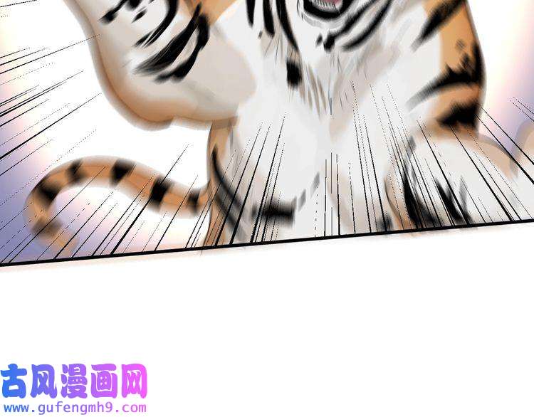 我的成就有点多第165话 猛虎来袭！