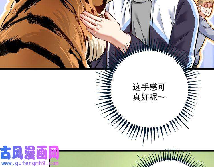 我的成就有点多第167话 第二只老虎？